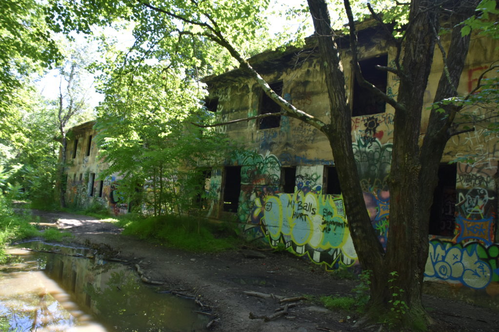 EB1_5681.jpg