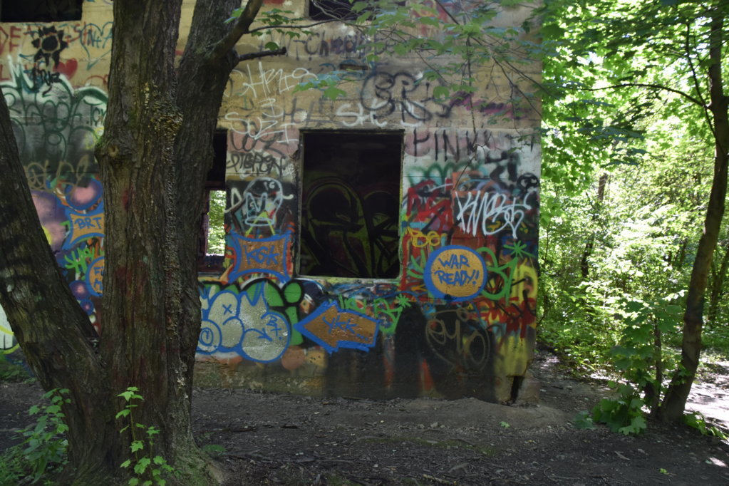 EB1_5682.jpg