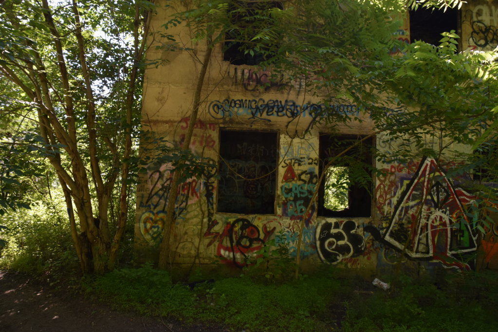 EB1_5685.jpg