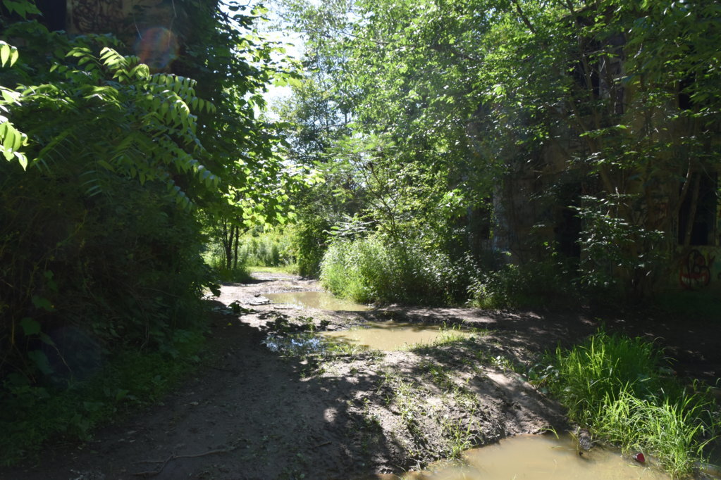 EB1_5686.jpg
