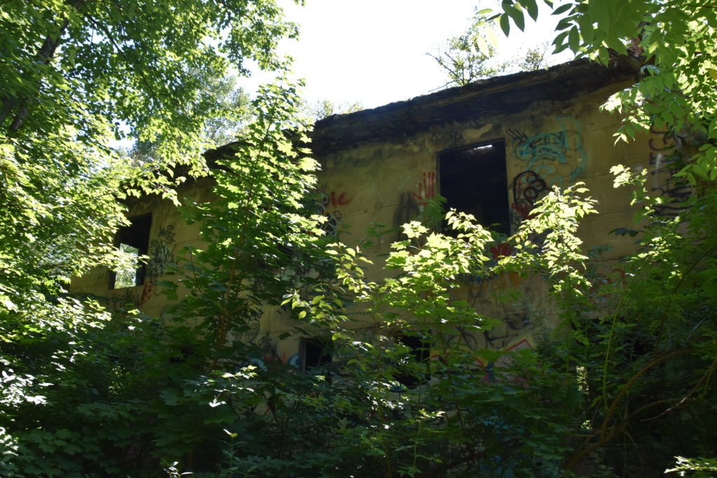 EB1_5688.jpg