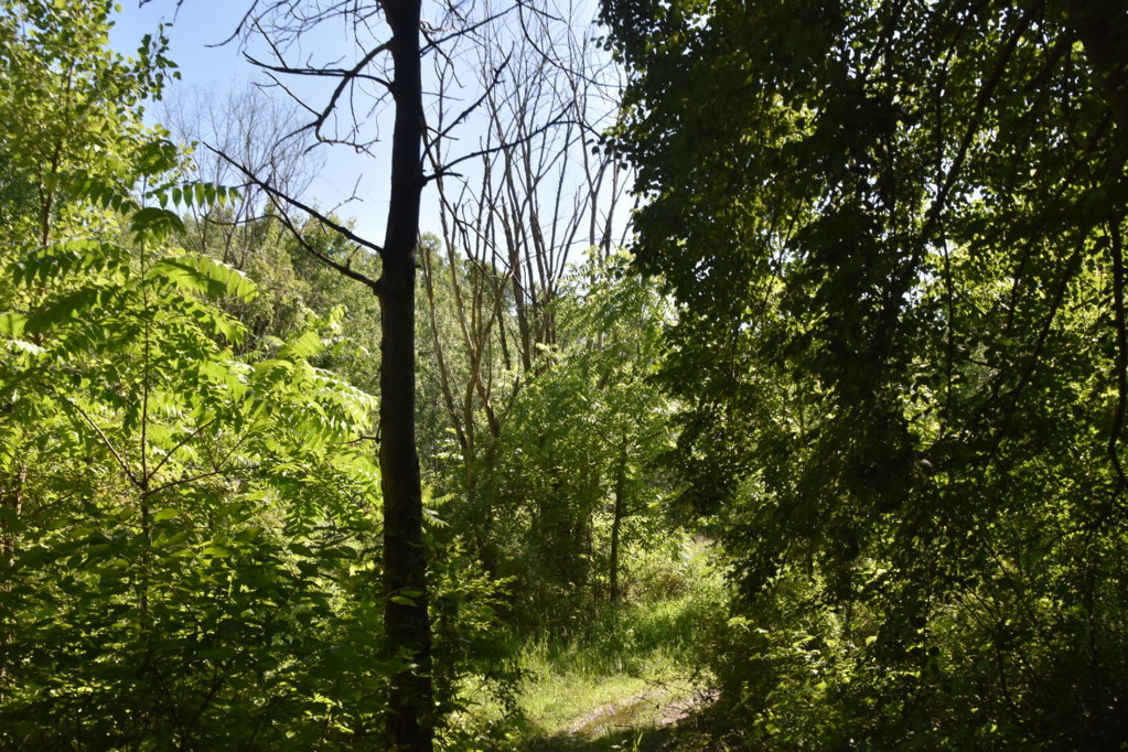 EB1_5699.jpg