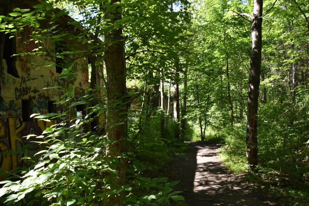 EB1_5707.jpg