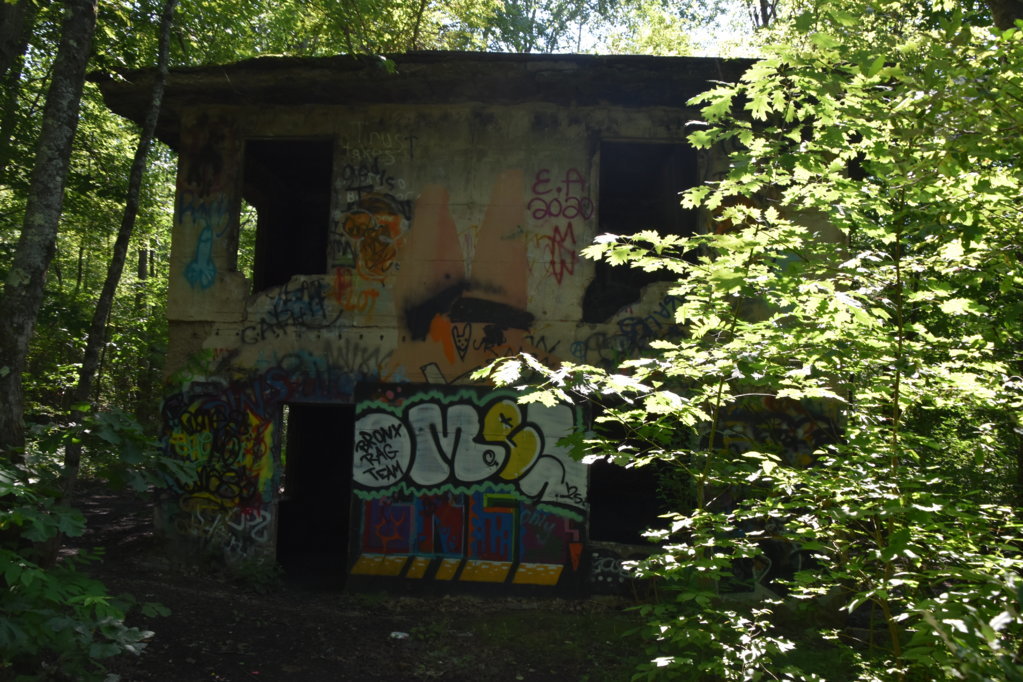 EB1_5708.jpg