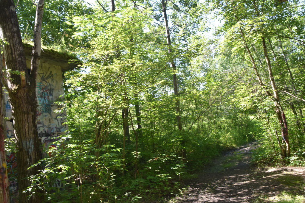 EB1_5713.jpg