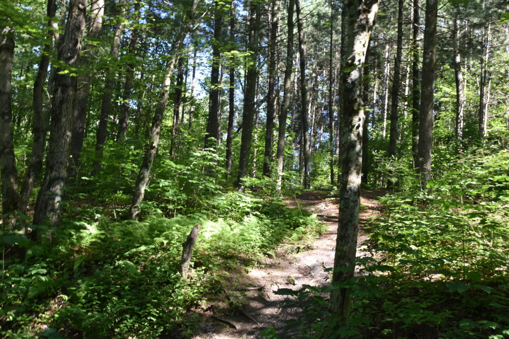 EB1_5714.jpg
