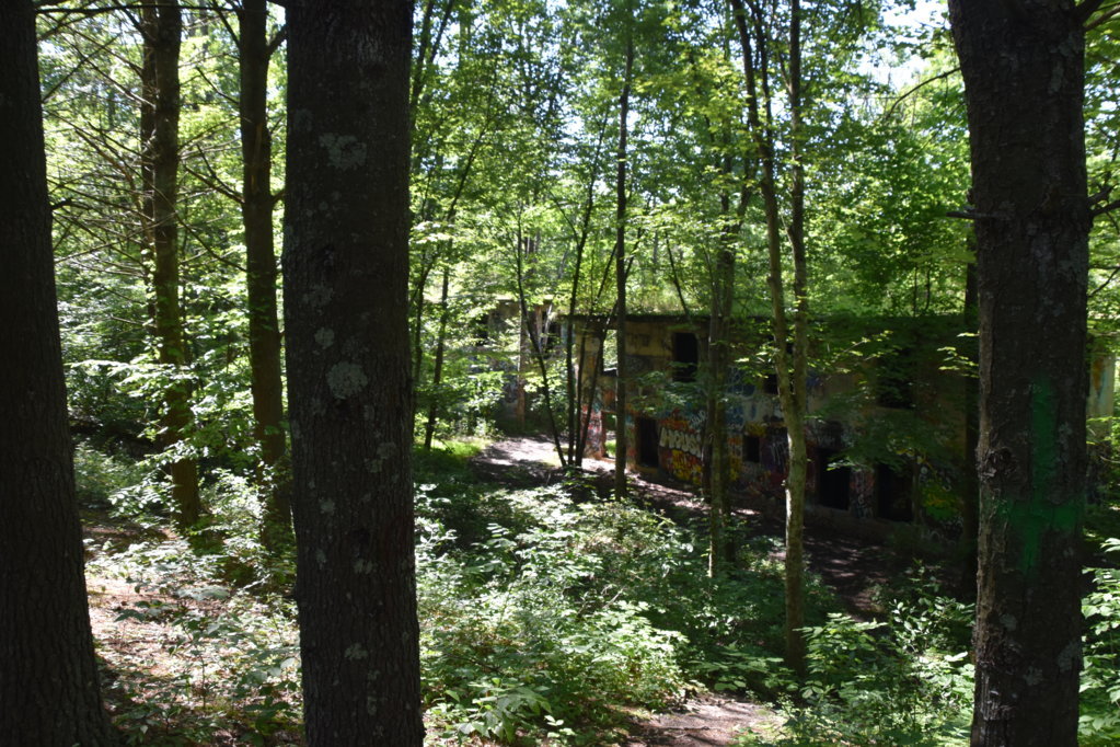 EB1_5716.jpg