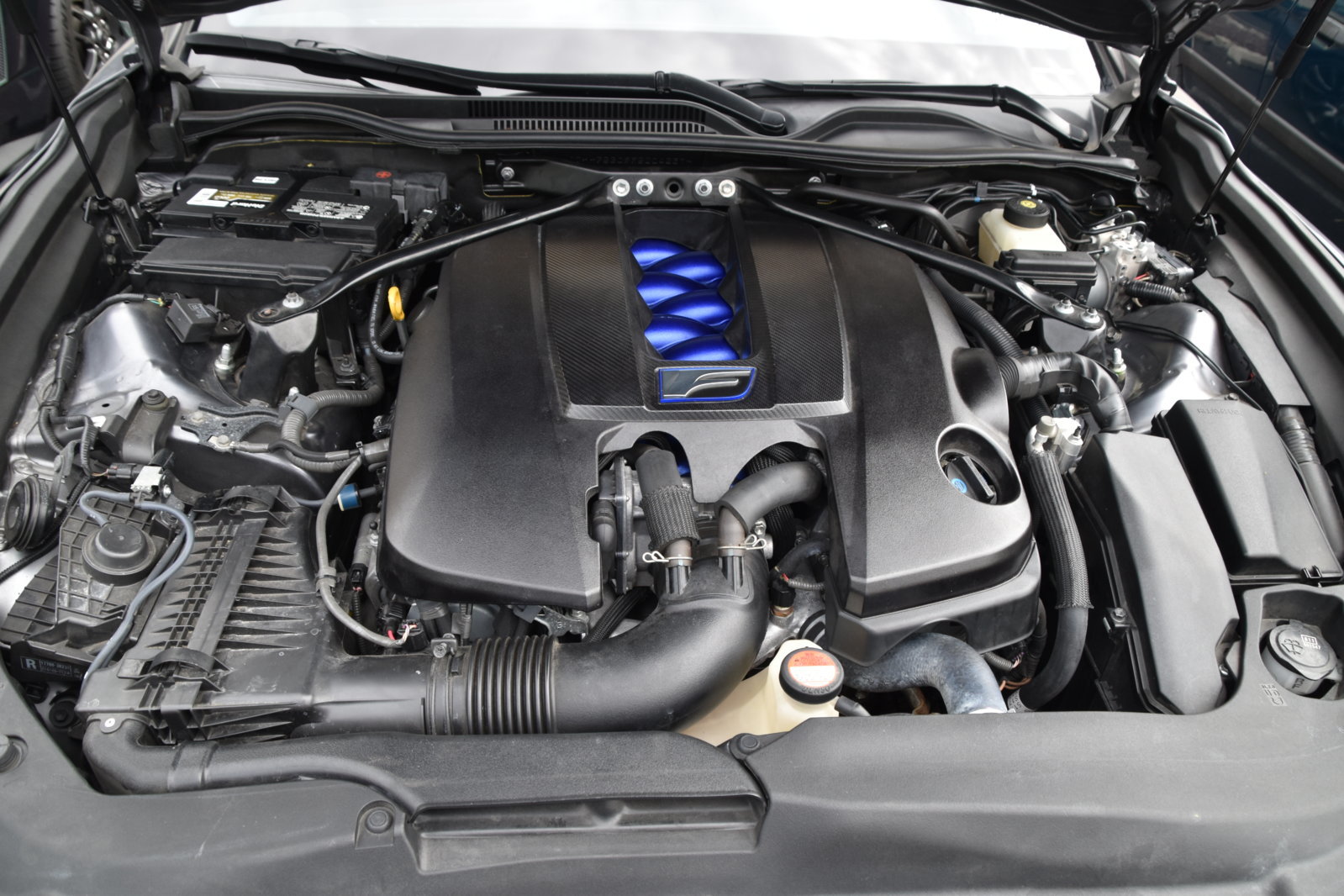 EB1_6459.jpg