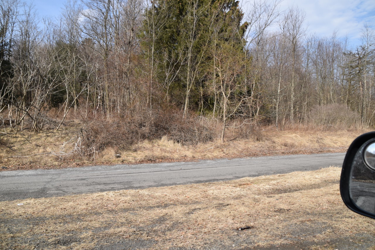EB1_6874.jpg