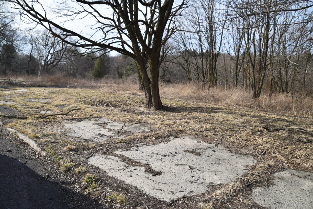 EB1_6883.jpg