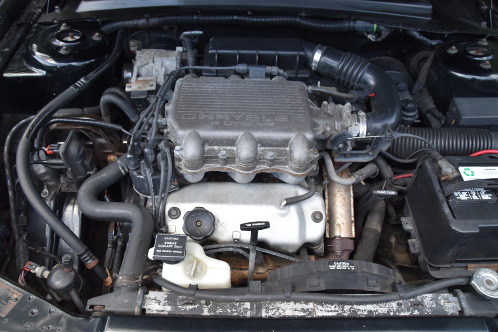 EB1_6911.jpg
