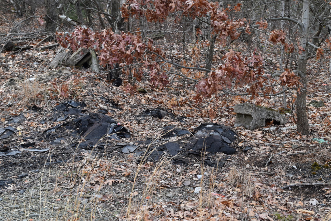 EB1_6928.jpg