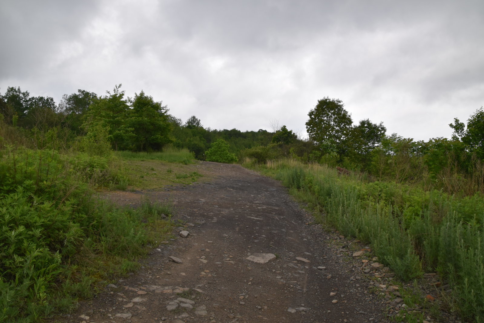 EB1_6928.jpg