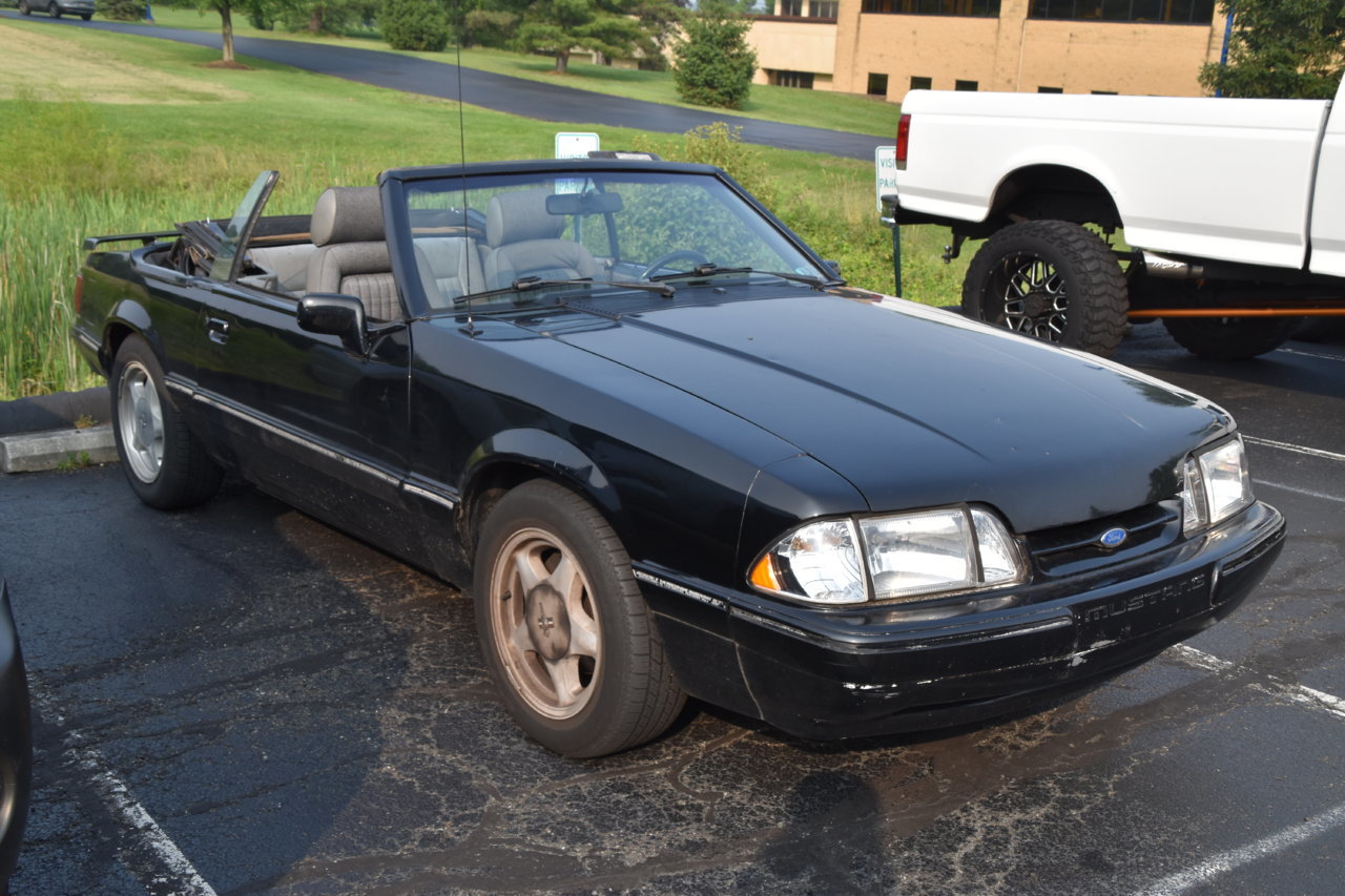 EB1_6940.jpg