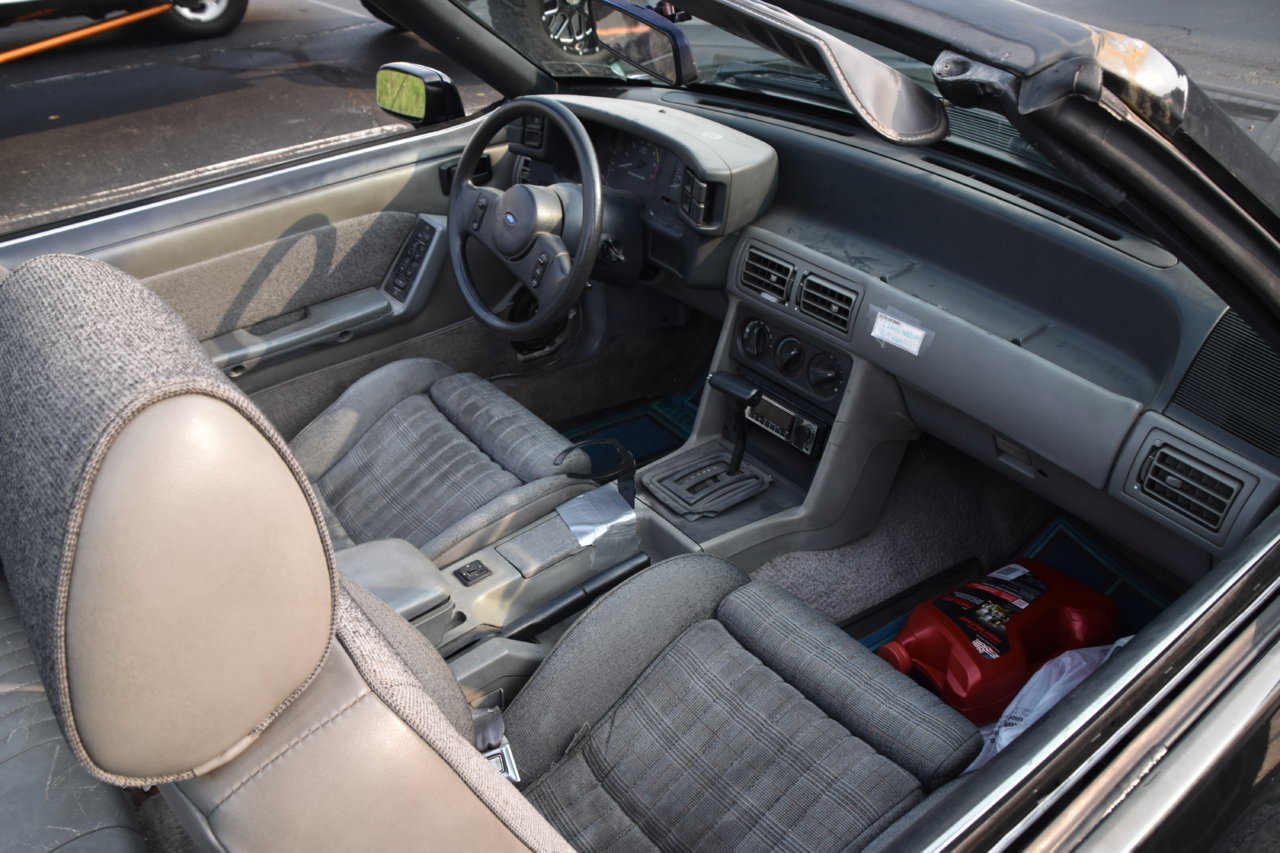 EB1_6950.jpg