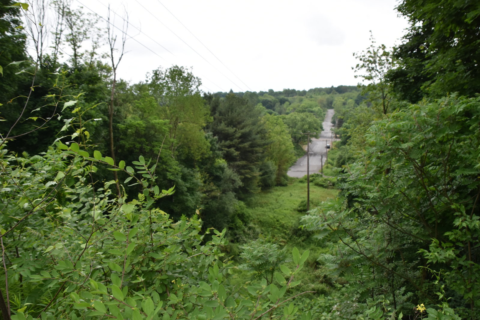 EB1_6974.jpg