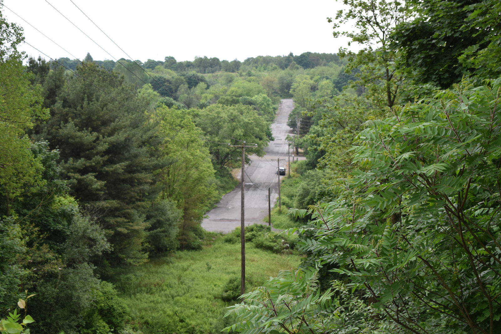 EB1_6975.jpg