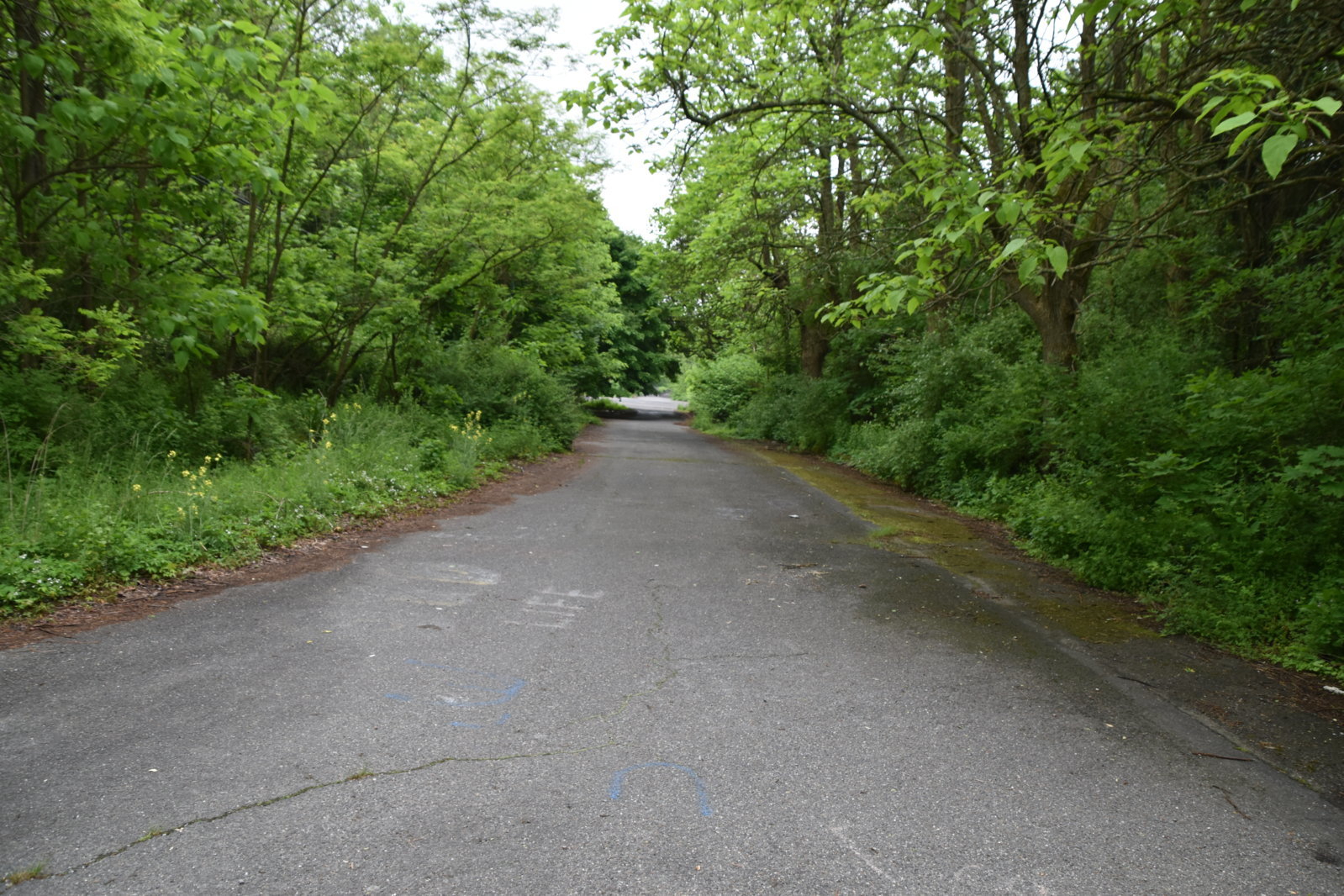 EB1_6986.jpg