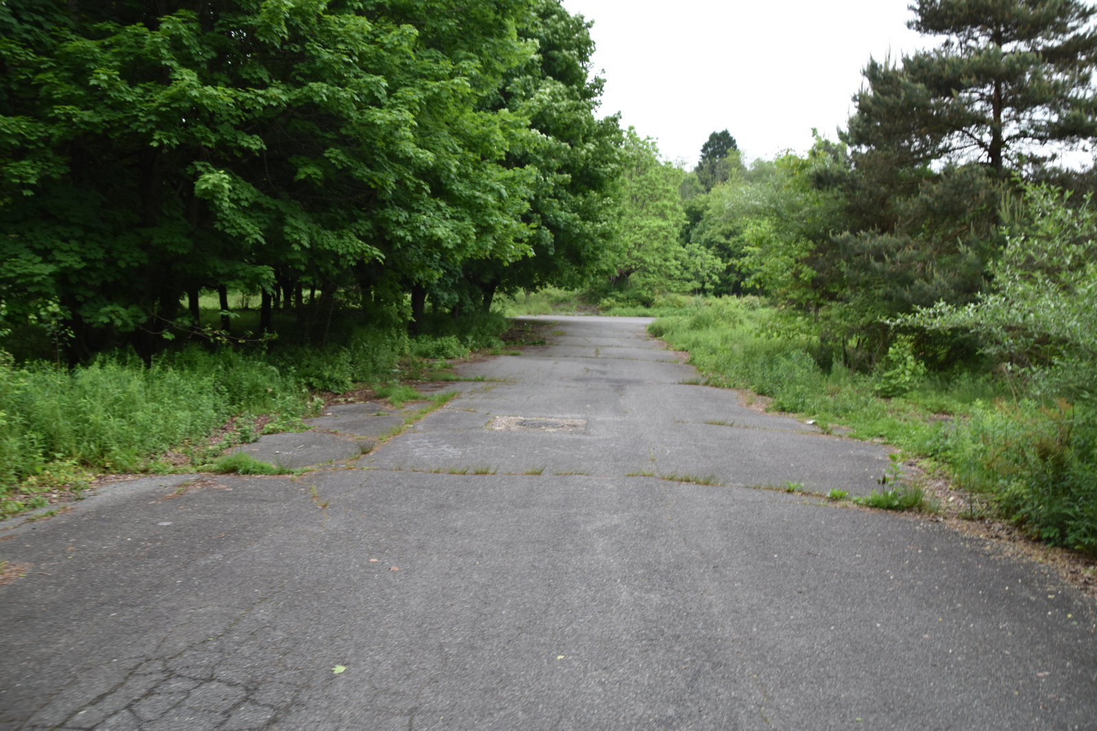 EB1_7015.jpg