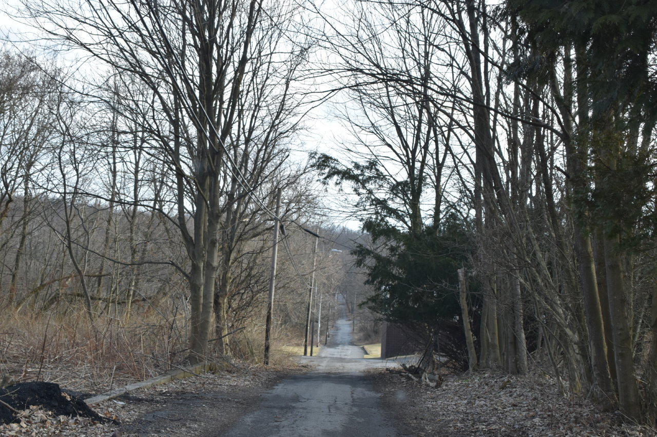 EB1_7016.jpg