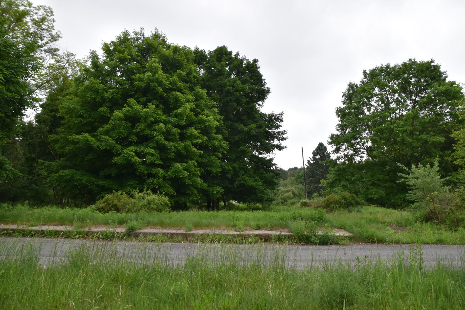 EB1_7026.jpg