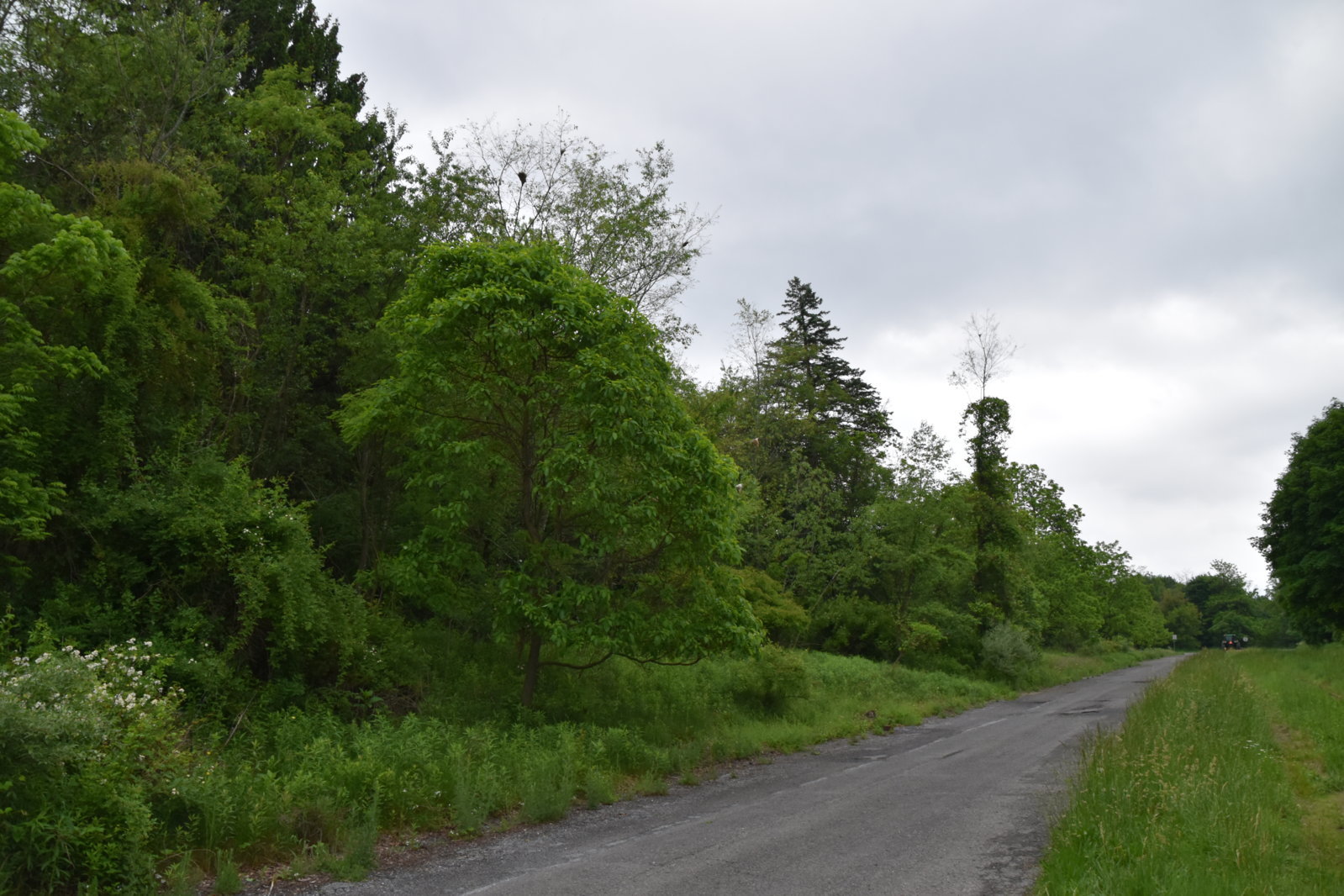 EB1_7032.jpg
