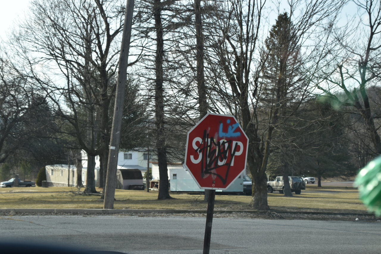 EB1_7033.jpg