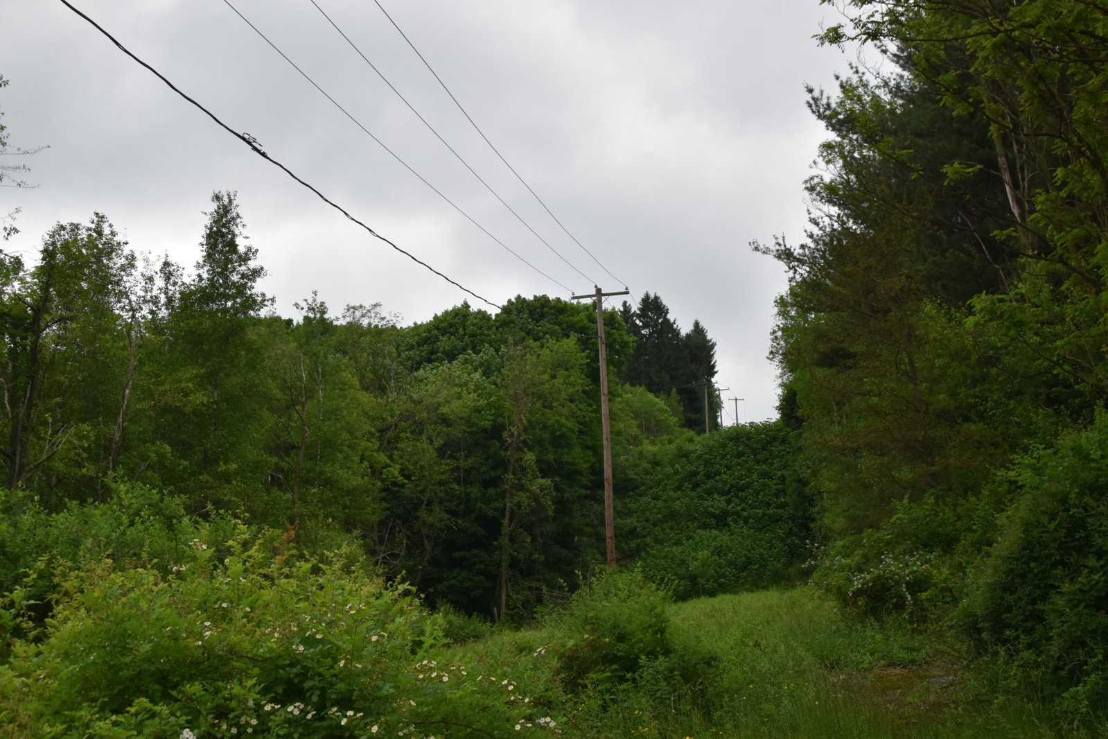 EB1_7034.jpg