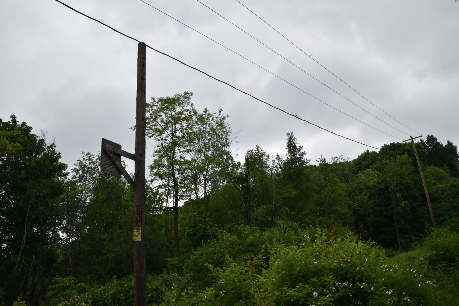EB1_7035.jpg