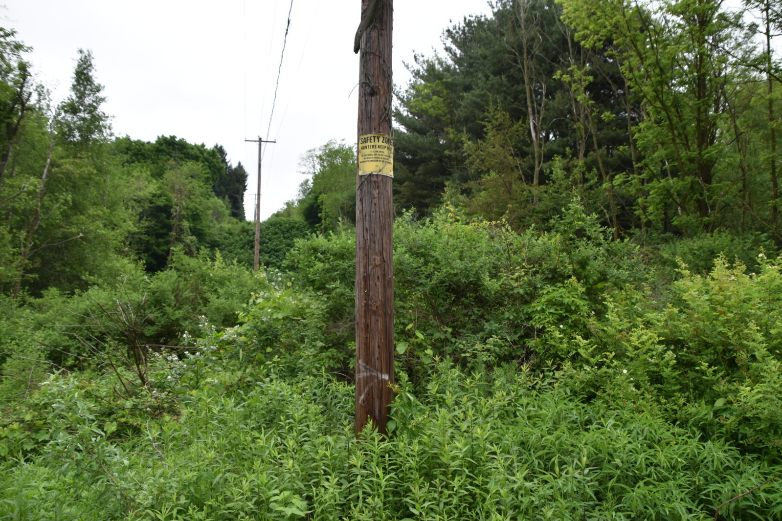 EB1_7038.jpg