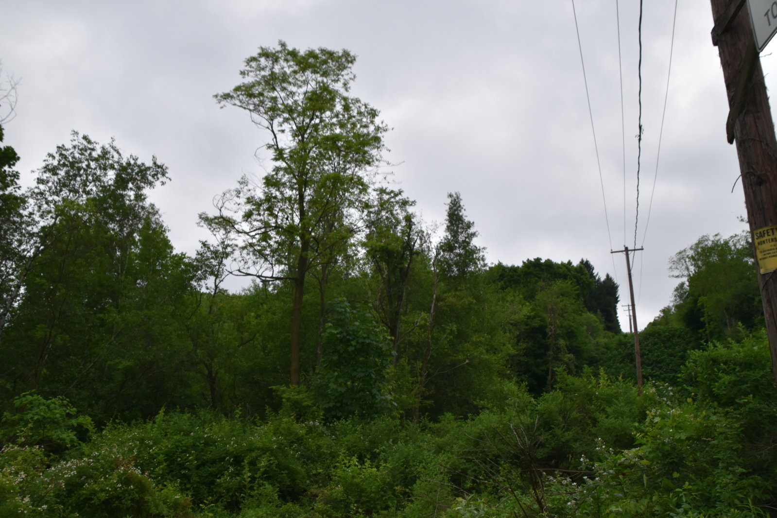 EB1_7039.jpg