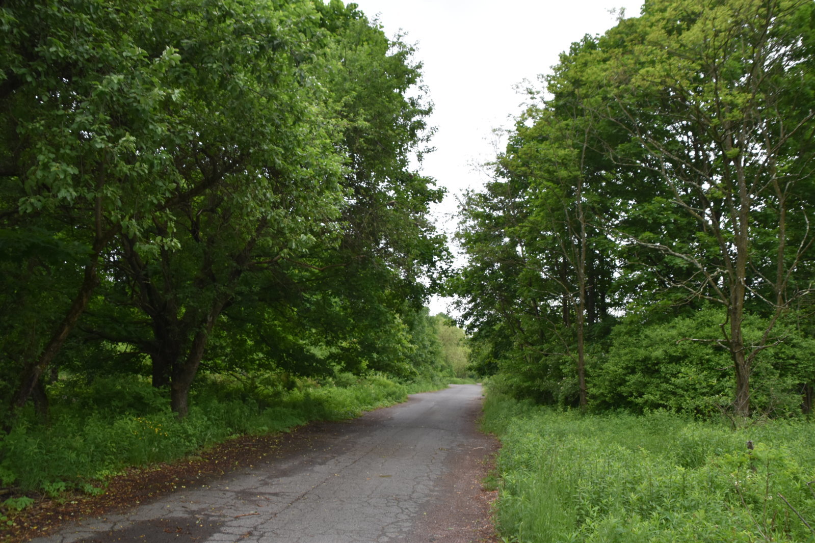 EB1_7041.jpg