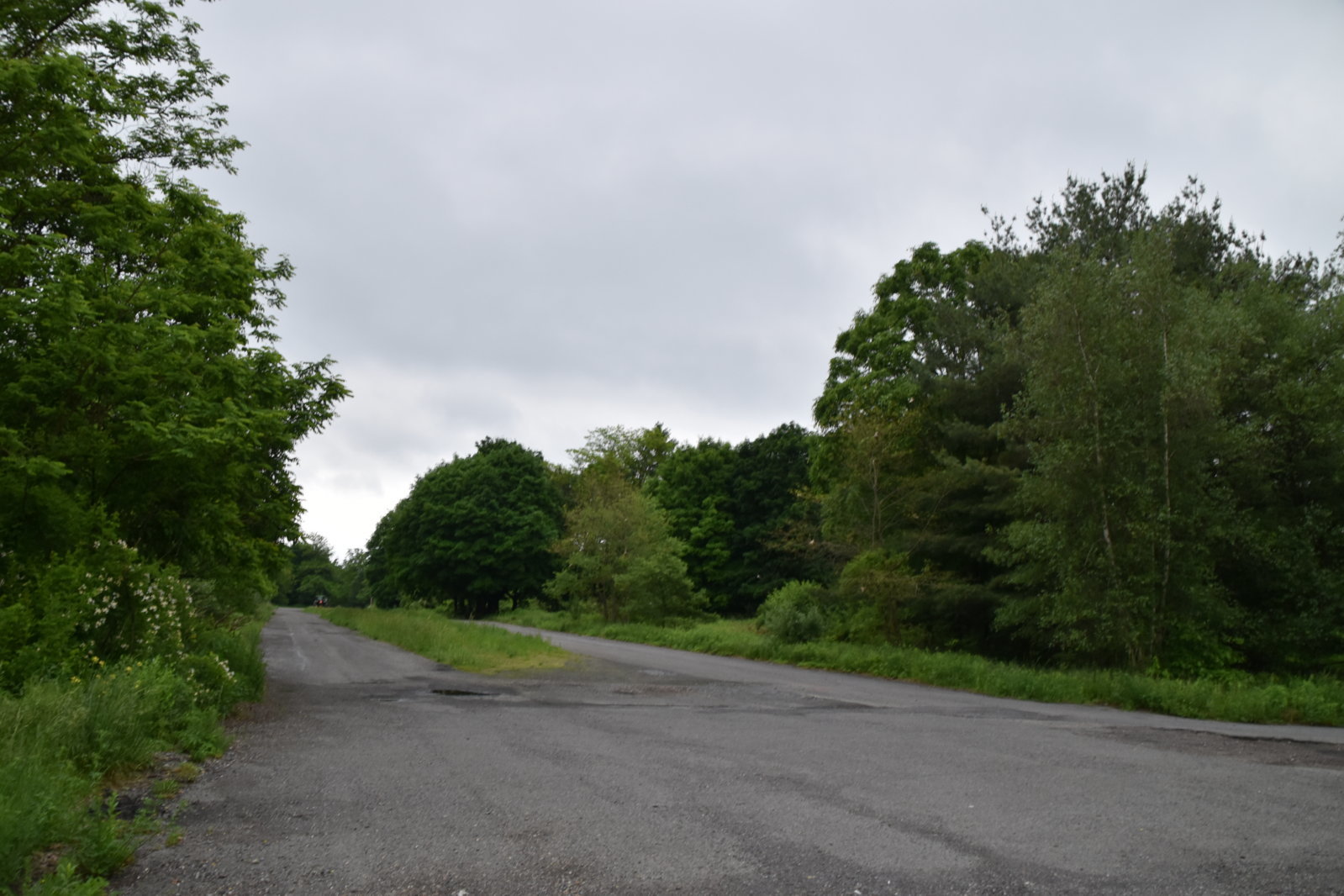 EB1_7043.jpg