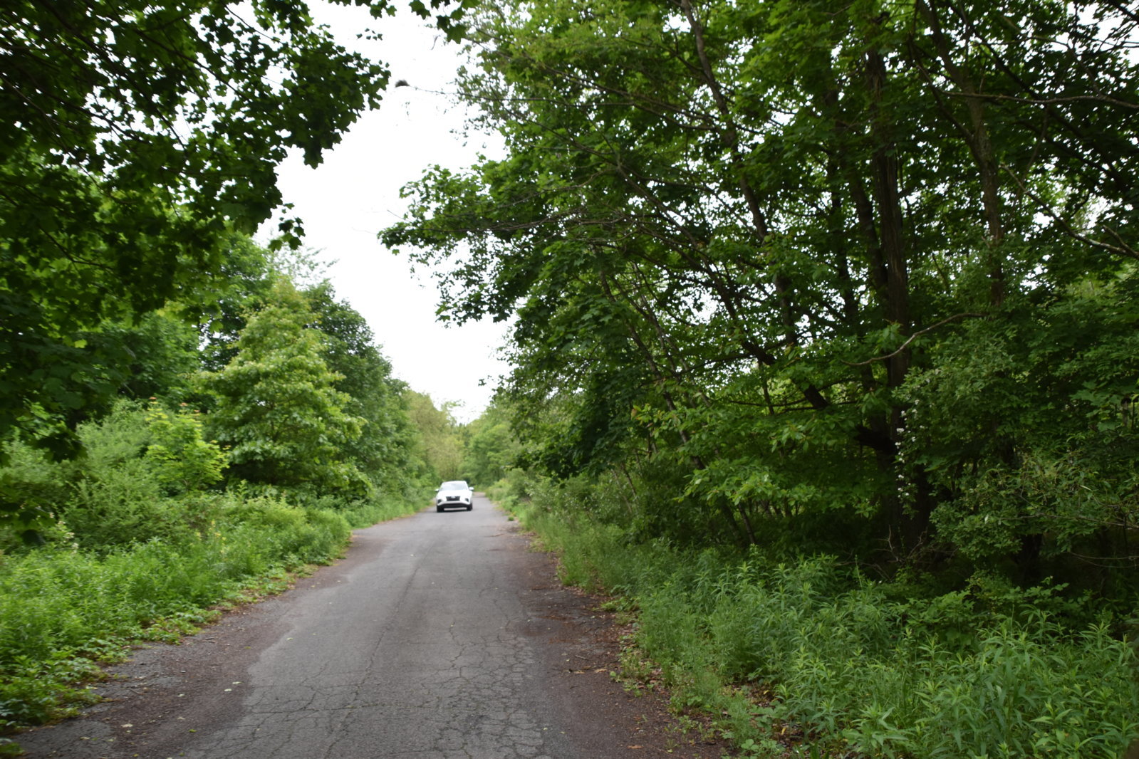 EB1_7044.jpg