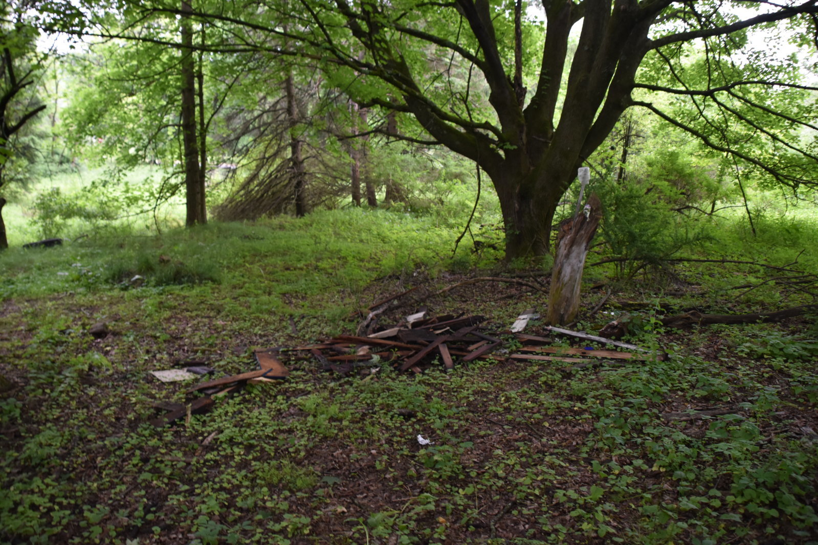 EB1_7049.jpg