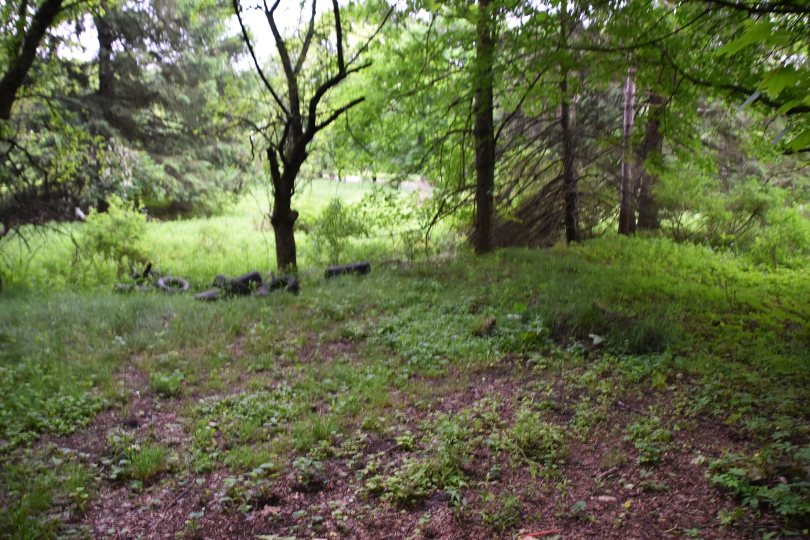 EB1_7050.jpg