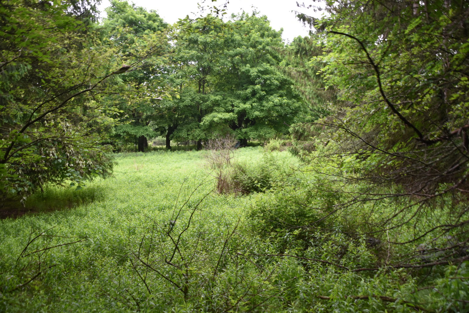 EB1_7054.jpg