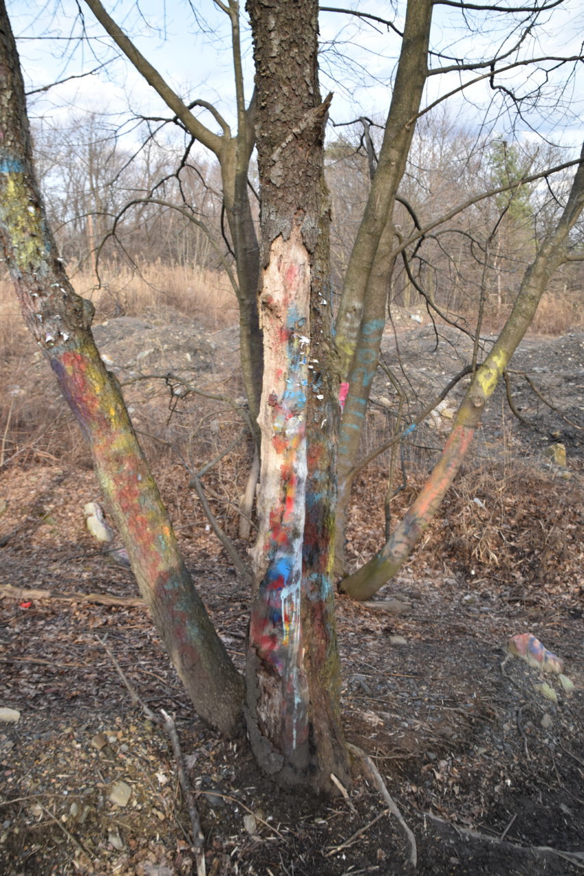 EB1_7056.jpg