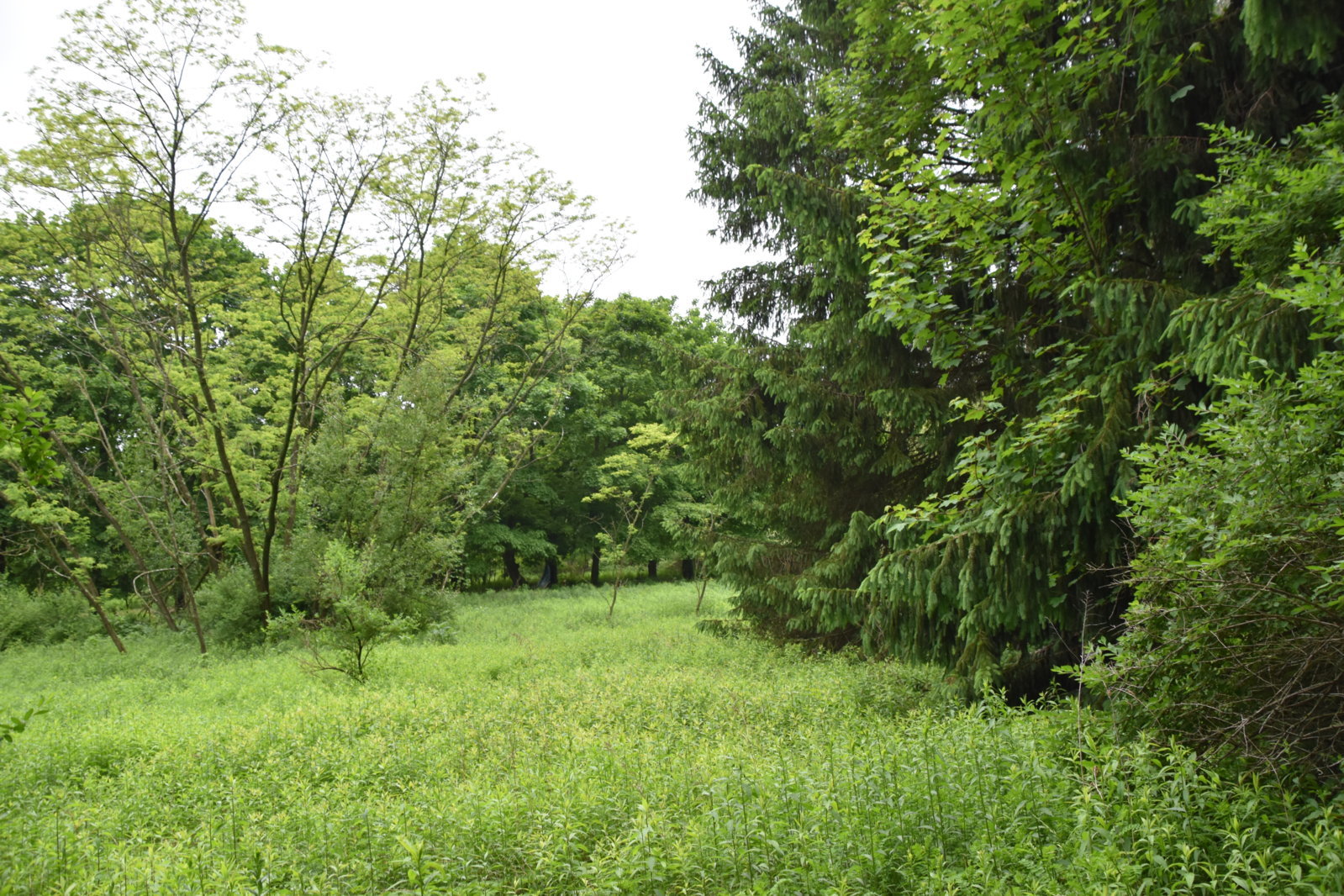 EB1_7061.jpg
