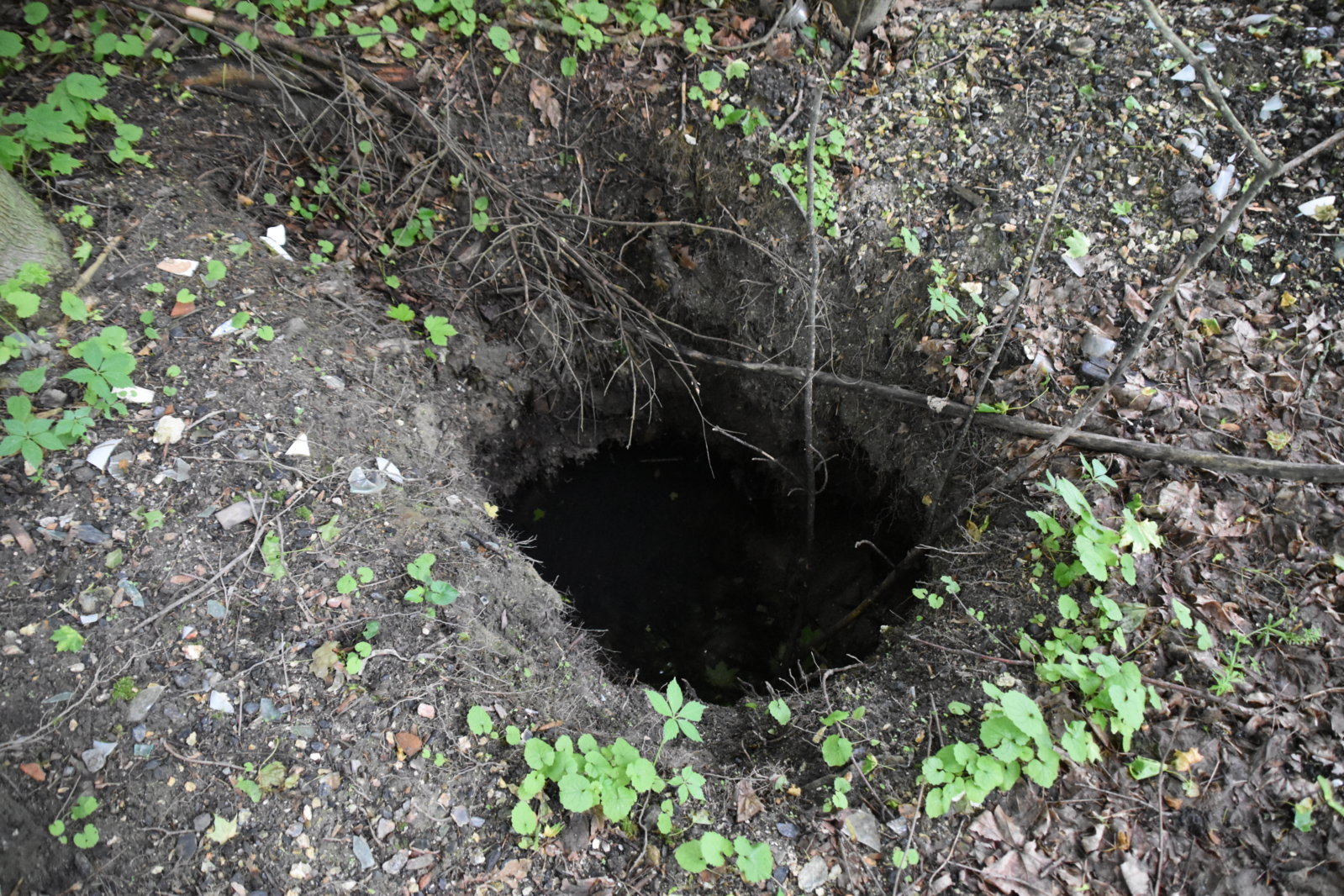 EB1_7065.jpg