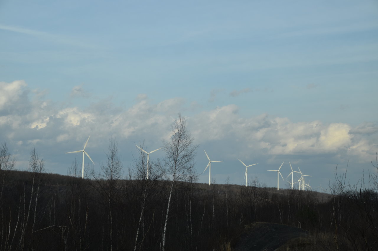 EB1_7079.jpg
