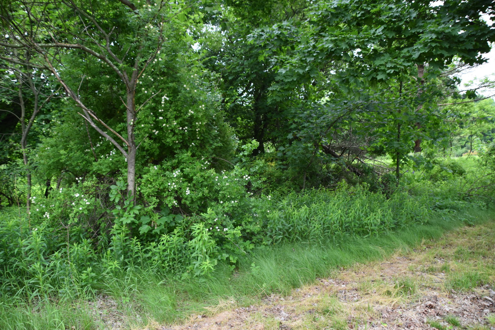 EB1_7082.jpg
