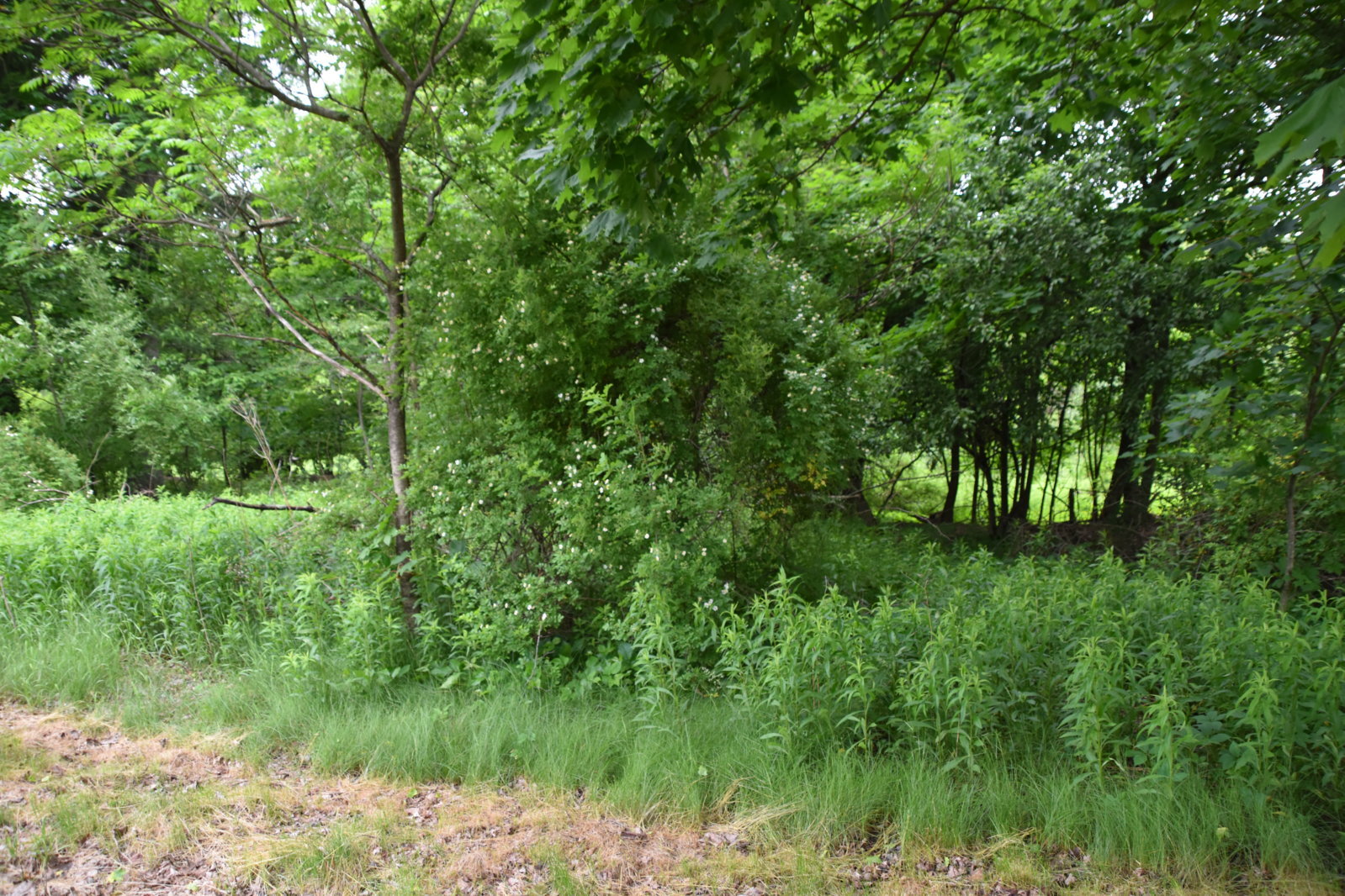 EB1_7084.jpg