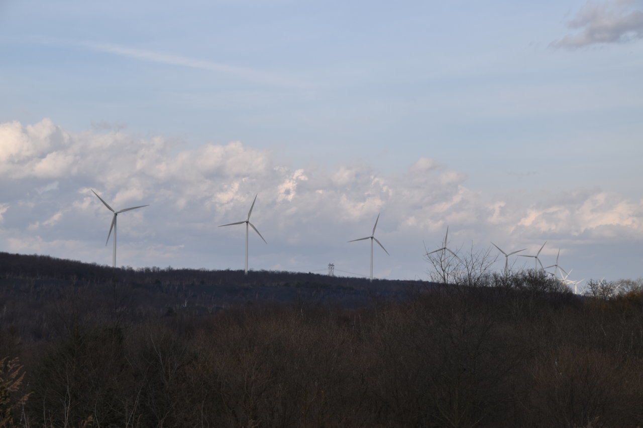 EB1_7091.jpg
