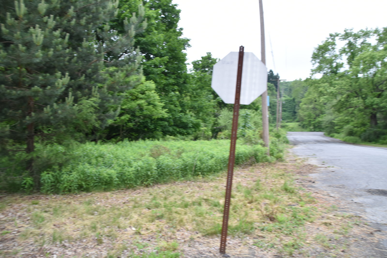 EB1_7101.jpg