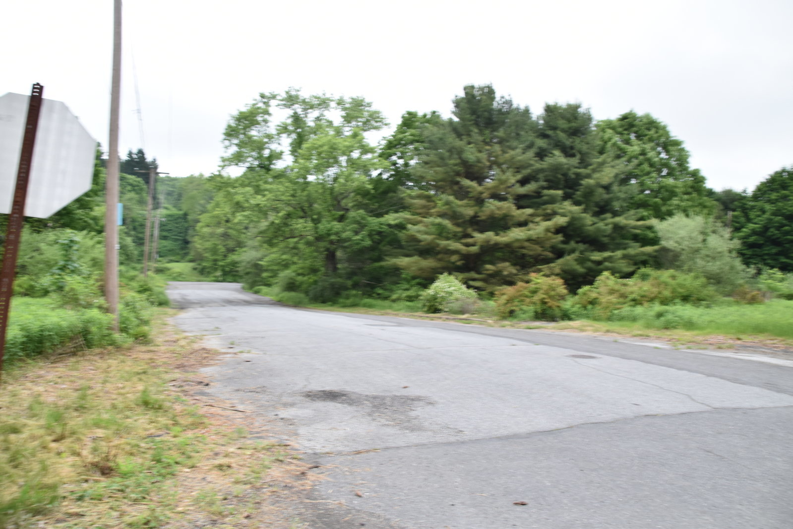 EB1_7105.jpg