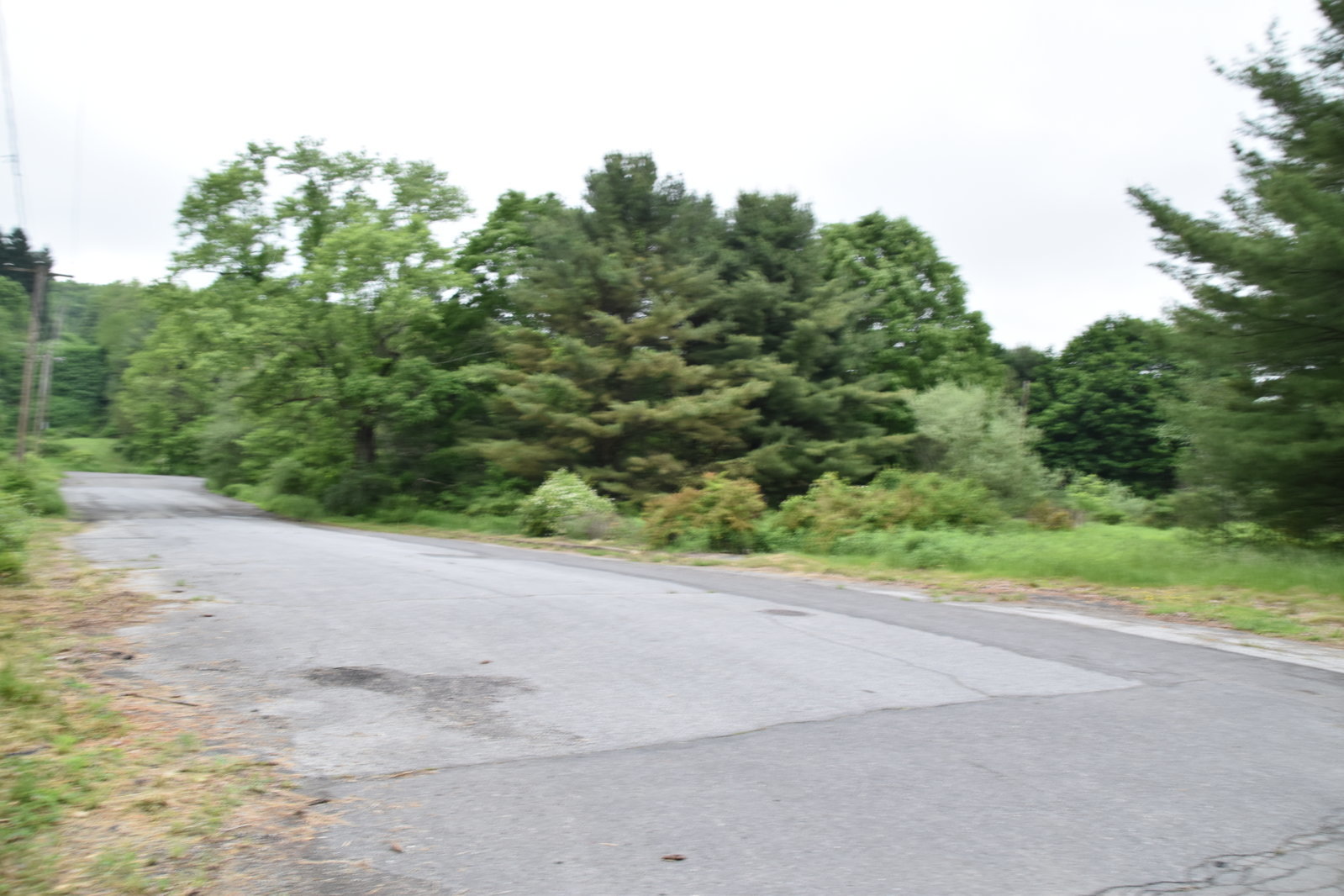 EB1_7106.jpg