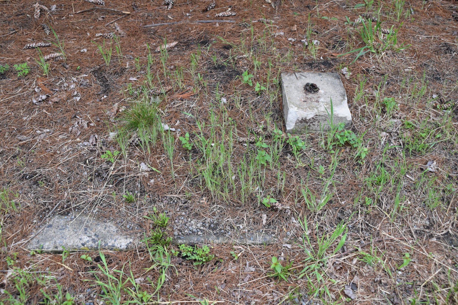 EB1_7110.jpg