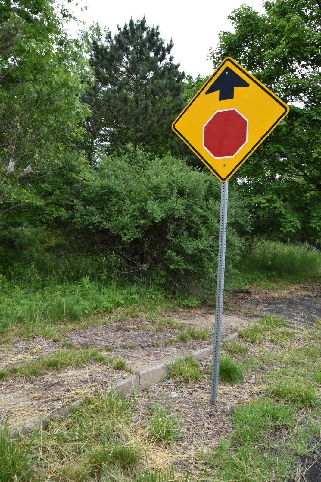 EB1_7122.jpg