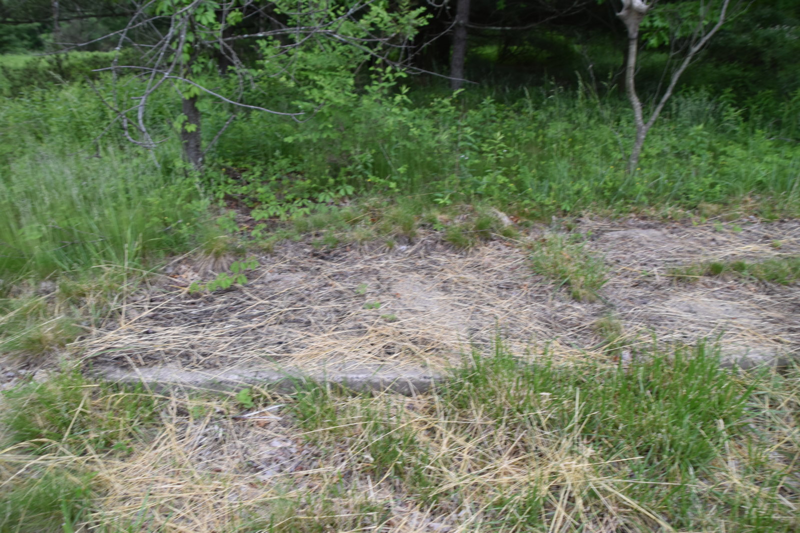 EB1_7125.jpg